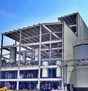 Company Profile